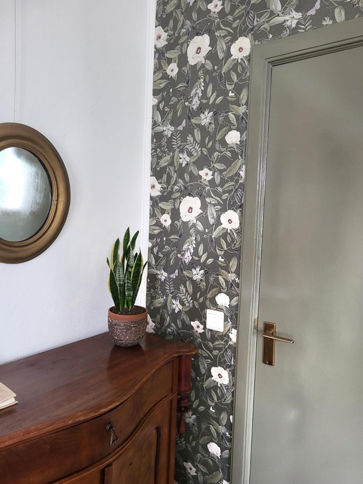 Logement Hartsuiker Hoogeveen Bagian luar foto